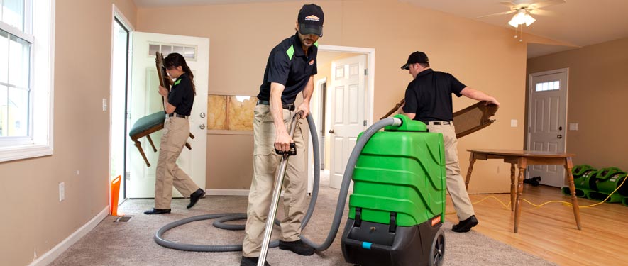 Franklin, MA cleaning services